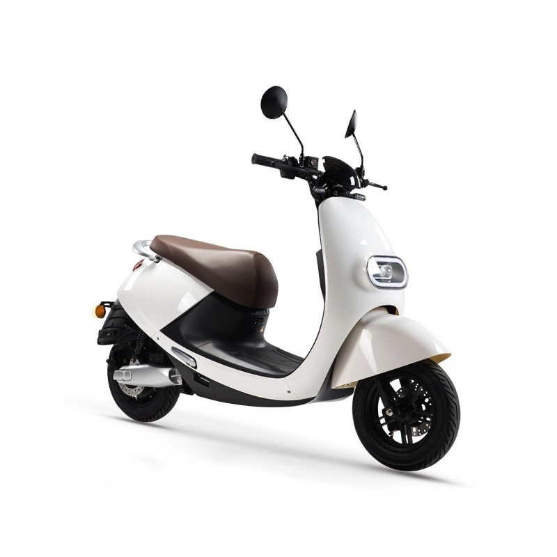 Electric Adult High Speed Classic Scooters 3000 Watts Motor Motorcycle
