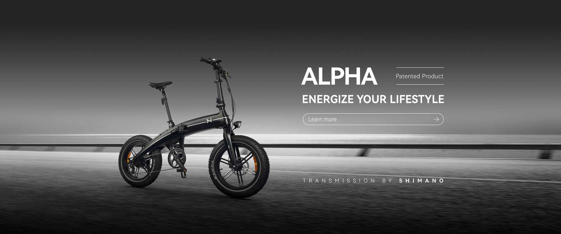 Alpha-250W integrated wheel Electric ebike