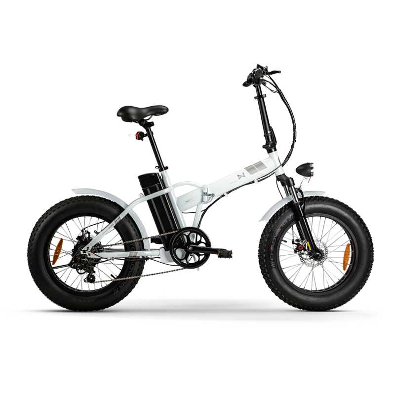 LN20M04 fat tire electric bike